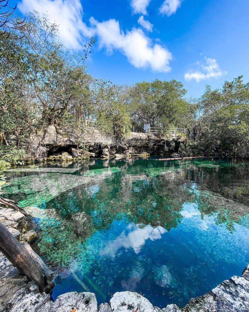 Cenote Cristalino Playa del Carmen Puerto Aventuras Riviera Maya Cenotexs.com