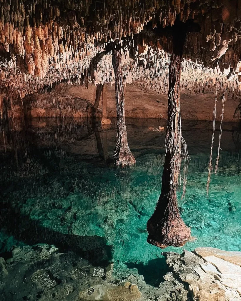 Imagen de una cueva con agua y estalaquitas llamada cenote de tipo cerrado. Cenote Zapote Park en Cenotexs.com