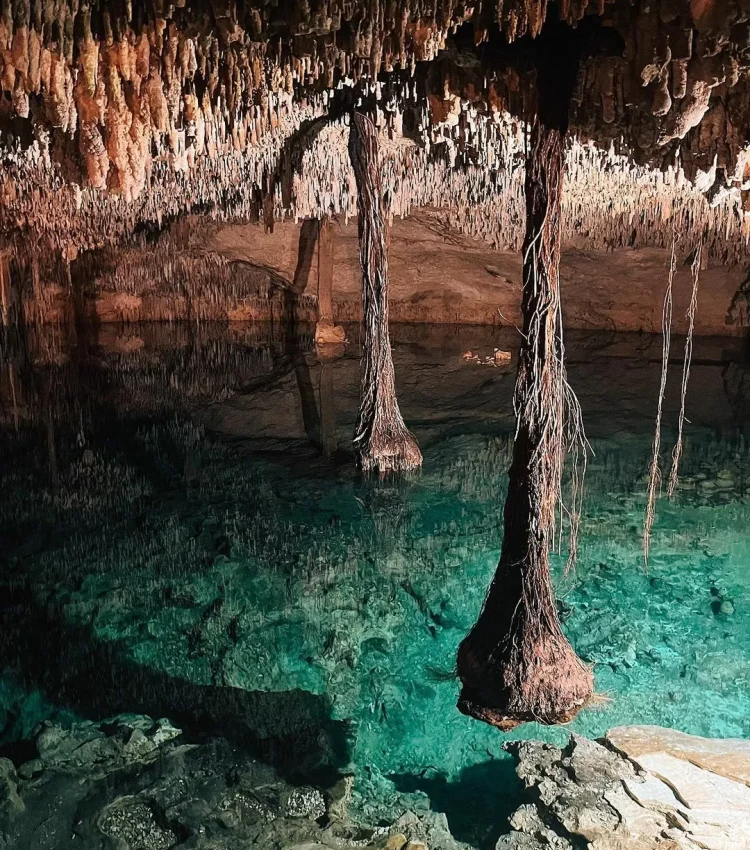 Imagen de una cueva con agua y estalaquitas llamada cenote de tipo cerrado. Cenote Zapote Park en Cenotexs.com