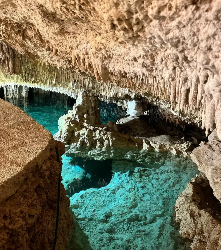 Imagen de una cueva con agua y estalaquitas llamada cenote de tipo cerrado. Cenote Zapote Park en Cenotexs.com