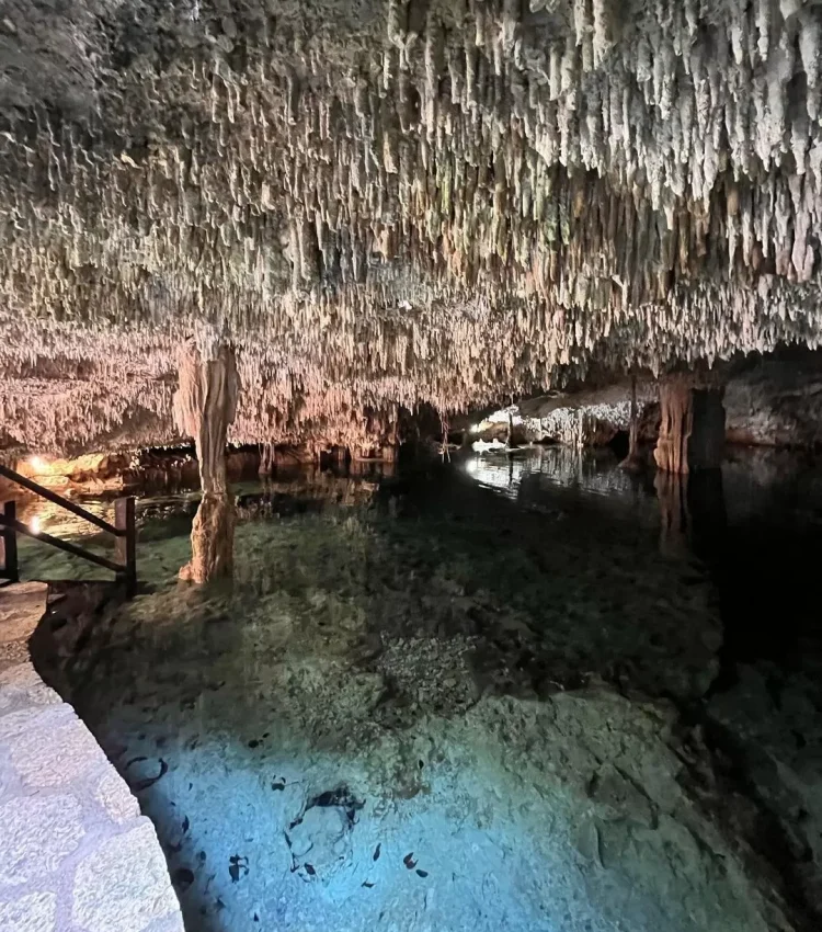 Imagen de una cueva con agua y estalaquitas llamada cenote de tipo cerrado. Cenote Zapote Park en Cenotexs.com